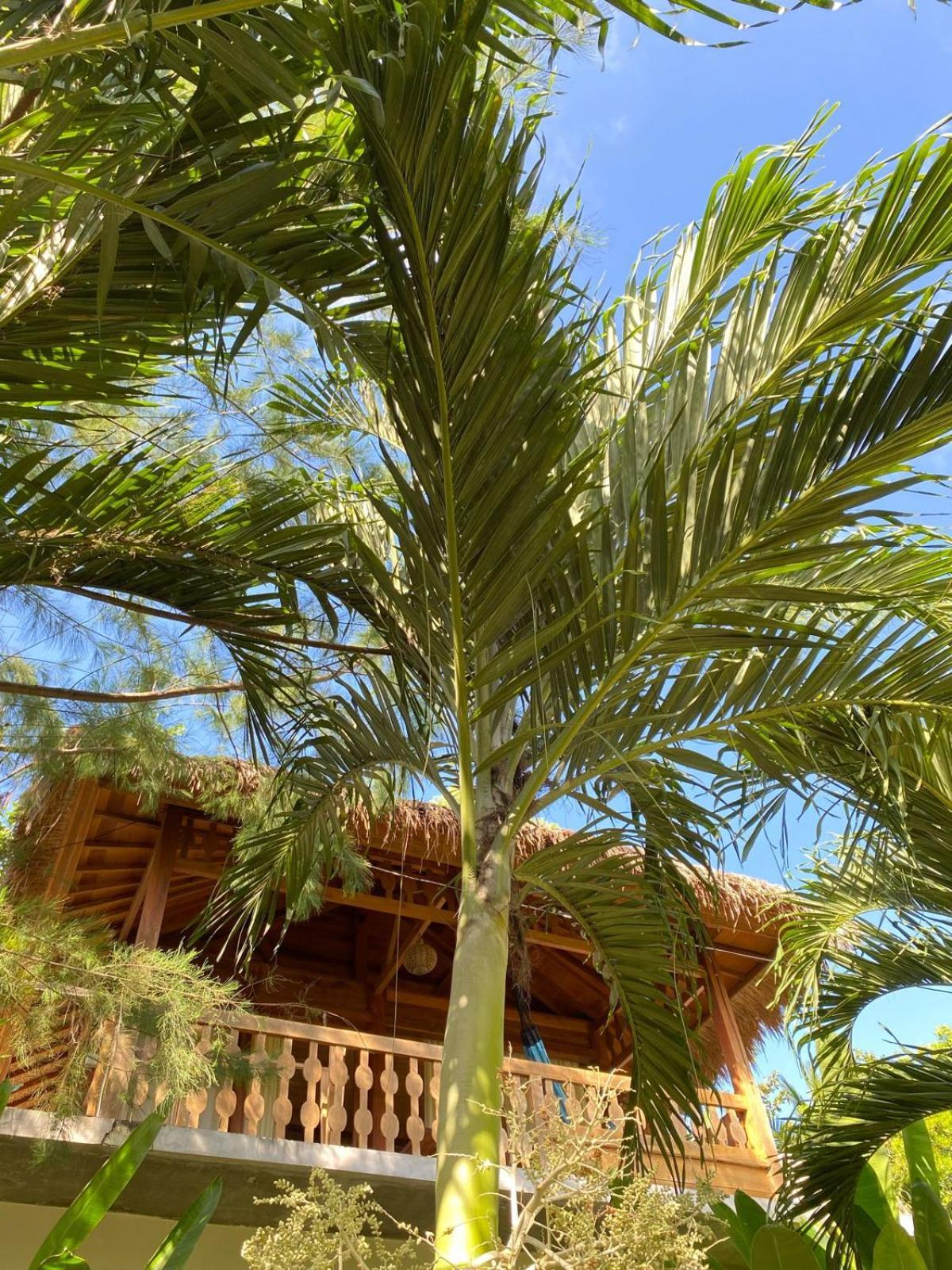 Palm Green Hotel Kuta  エクステリア 写真